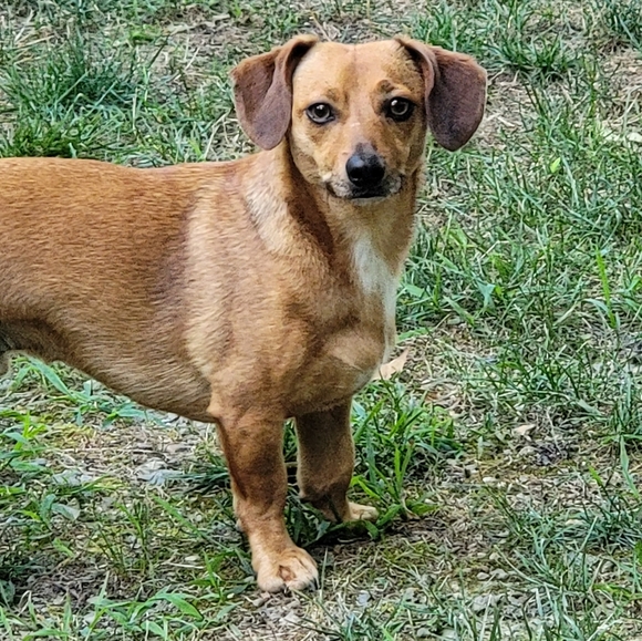 Meet your Posher, Melissa - Picture 7 of 11